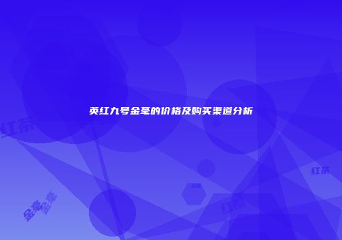 英红九号金毫的价格及购买渠道分析