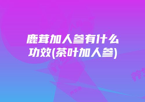 鹿茸加人参有什么功效(茶叶加人参)