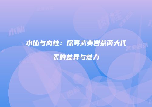 水仙与肉桂：探寻武夷岩茶两大代表的差异与魅力
