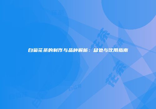 白菊花茶的制作与品种解析：益处与饮用指南