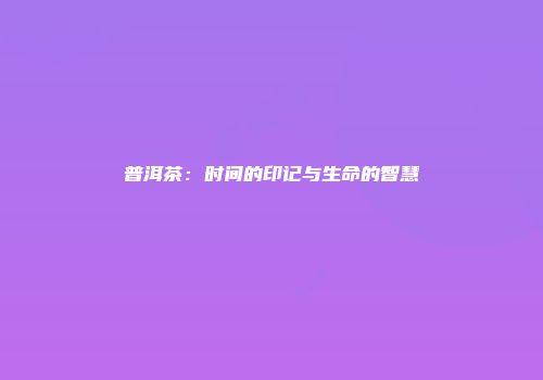 普洱茶：时间的印记与生命的智慧