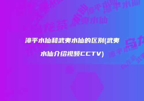 漳平水仙和武夷水仙的区别(武夷水仙介绍视频CCTV)