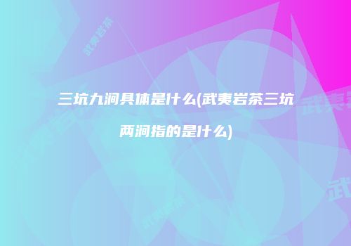三坑九涧具体是什么(武夷岩茶三坑两涧指的是什么)