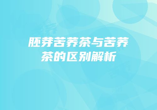 胚芽苦荞茶与苦荞茶的区别解析