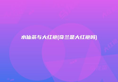 水仙茶与大红袍(奇兰是大红袍吗)