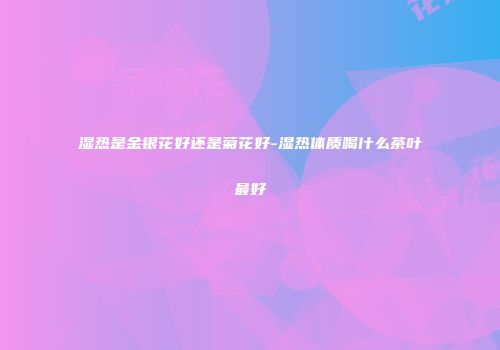 湿热是金银花好还是菊花好-湿热体质喝什么茶叶最好