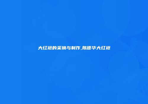 大红袍的采摘与制作,陈德华大红袍