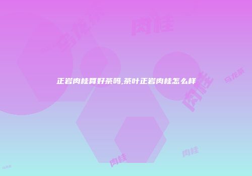 正岩肉桂算好茶吗,茶叶正岩肉桂怎么样