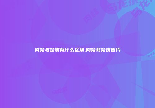肉桂与桂皮有什么区别,肉桂和桂皮图片