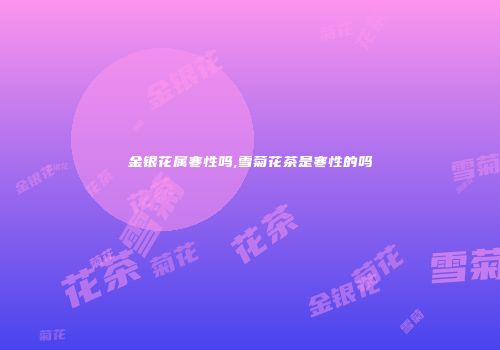 金银花属寒性吗,雪菊花茶是寒性的吗