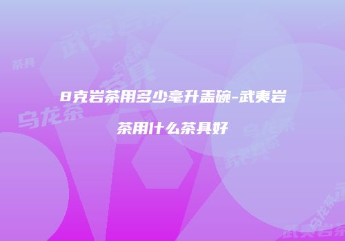 8克岩茶用多少毫升盖碗-武夷岩茶用什么茶具好
