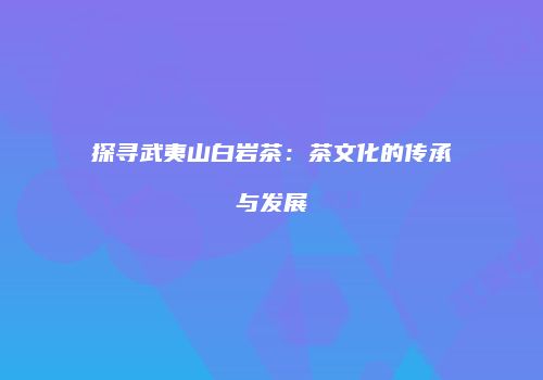 探寻武夷山白岩茶：茶文化的传承与发展