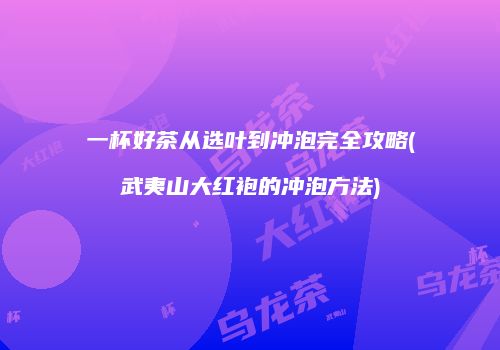 一杯好茶从选叶到冲泡完全攻略(武夷山大红袍的冲泡方法)