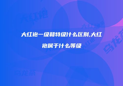 大红袍一级和特级什么区别,大红袍属于什么等级