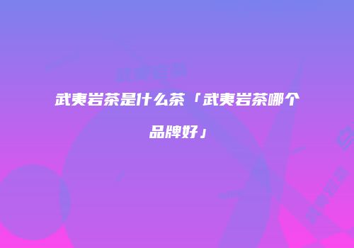 武夷岩茶是什么茶「武夷岩茶哪个品牌好」