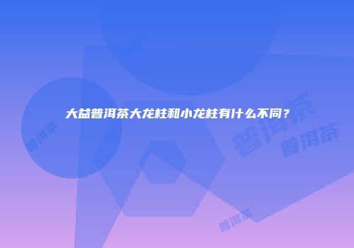大益普洱茶大龙柱和小龙柱有什么不同？