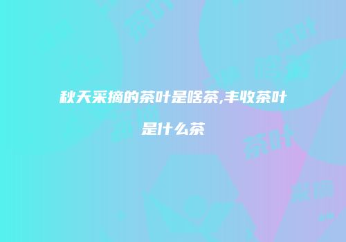 秋天采摘的茶叶是啥茶,丰收茶叶是什么茶
