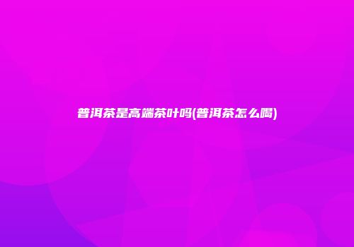 普洱茶是高端茶叶吗(普洱茶怎么喝)