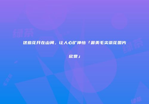 这些花开在山间，让人心旷神怡「最美毛尖茶花图片欣赏」