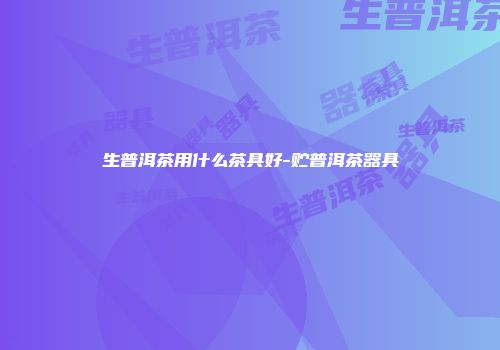 生普洱茶用什么茶具好-贮普洱茶器具