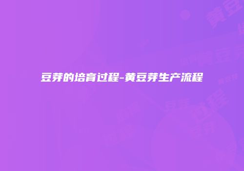 豆芽的培育过程-黄豆芽生产流程