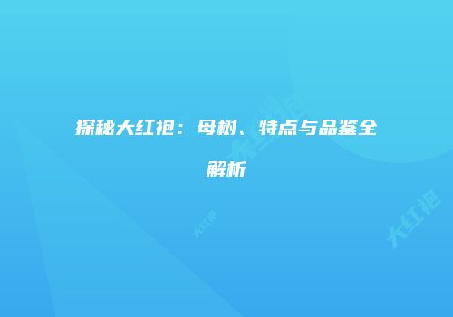 探秘大红袍：母树、特点与品鉴全解析