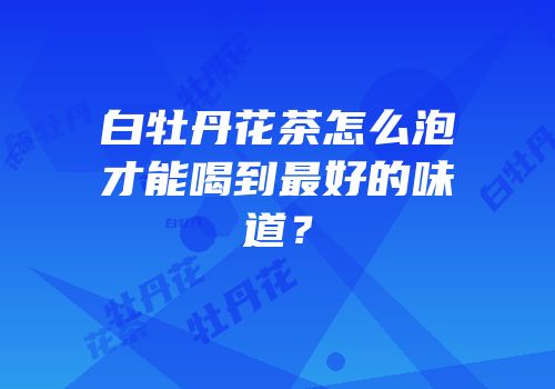 白牡丹花茶怎么泡才能喝到最好的味道？