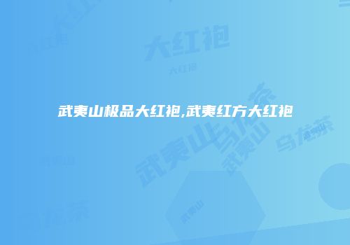 武夷山极品大红袍,武夷红方大红袍