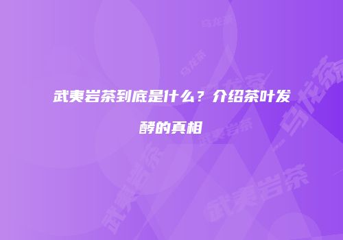武夷岩茶到底是什么？介绍茶叶发酵的真相