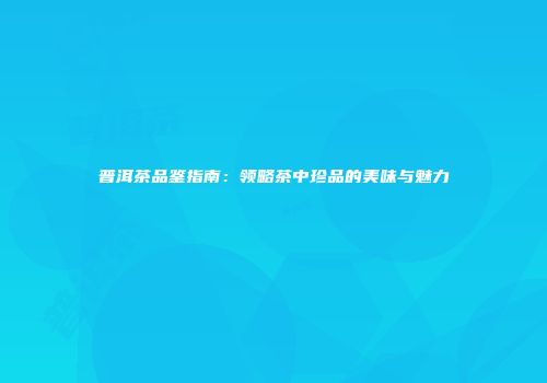 普洱茶品鉴指南：领略茶中珍品的美味与魅力