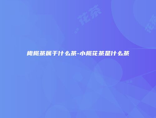 橄榄茶属于什么茶-小榄花茶是什么茶