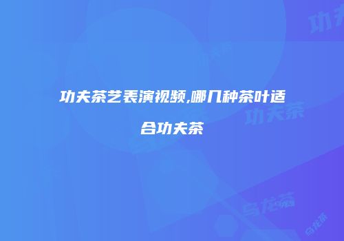 功夫茶艺表演视频,哪几种茶叶适合功夫茶