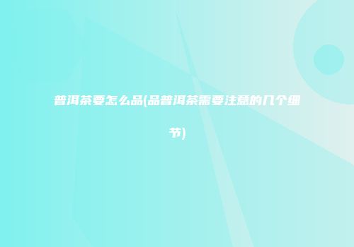 普洱茶要怎么品(品普洱茶需要注意的几个细节)
