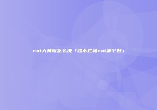 cat大黄靴怎么洗「踢不烂和cat哪个好」