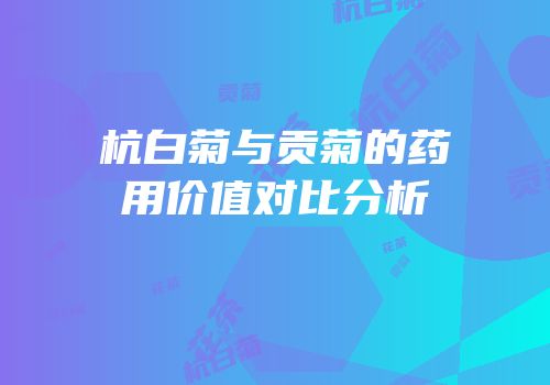 杭白菊与贡菊的药用价值对比分析