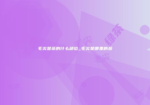 毛尖是茶的什么部位_毛尖是哪里的茶