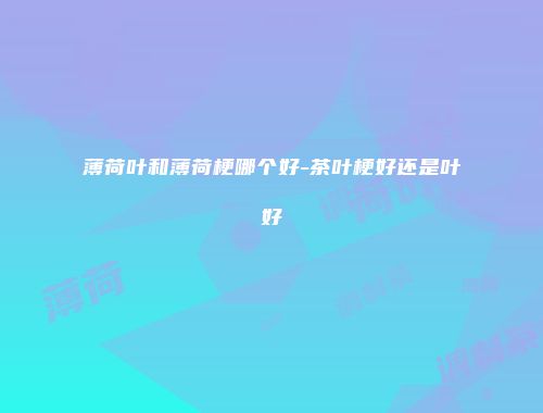 薄荷叶和薄荷梗哪个好-茶叶梗好还是叶好