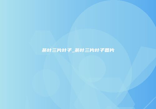 茶叶三片叶子_茶叶三片叶子图片