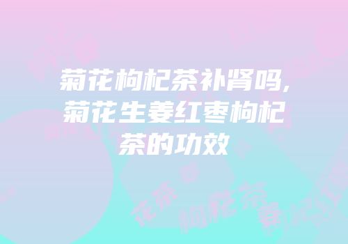 菊花枸杞茶补肾吗,菊花生姜红枣枸杞茶的功效