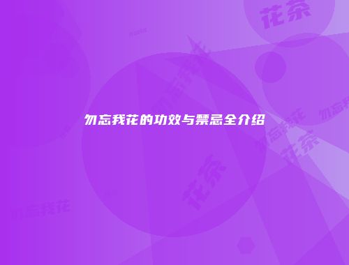 勿忘我花的功效与禁忌全介绍