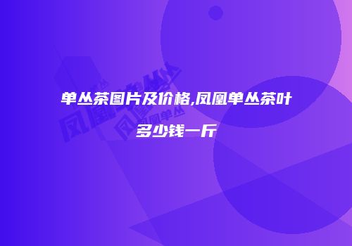 单丛茶图片及价格,凤凰单丛茶叶多少钱一斤