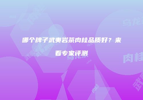 哪个牌子武夷岩茶肉桂品质好？来看专家评测