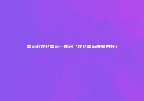 雪菊和昆仑雪菊一样吗「昆仑雪菊哪家的好」