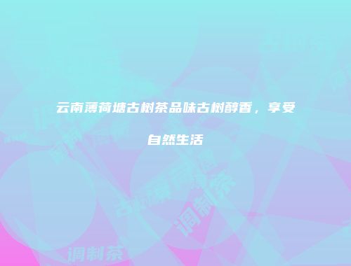 云南薄荷塘古树茶品味古树醇香，享受自然生活