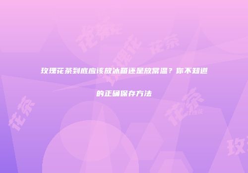 玫瑰花茶到底应该放冰箱还是放常温？你不知道的正确保存方法