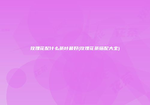 玫瑰花配什么茶叶最好(玫瑰花茶搭配大全)