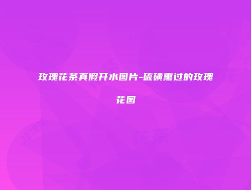 玫瑰花茶真假开水图片-硫磺熏过的玫瑰花图