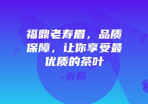 福鼎老寿眉，品质保障，让你享受最优质的茶叶