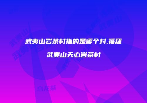 武夷山岩茶村指的是哪个村,福建武夷山天心岩茶村