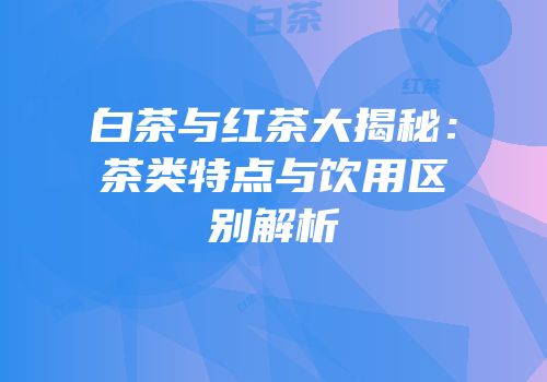 白茶与红茶大揭秘：茶类特点与饮用区别解析